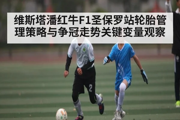 维斯塔潘红牛F1圣保罗站轮胎管理策略与争冠走势关键变量观察